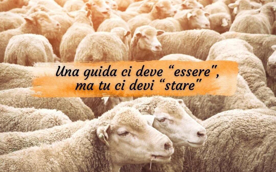 Sabato Quarta Settimana del Tempo Ordinario – Anno A